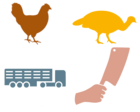 Huhn-, Puten-, Transporter- und Hand-mit-Beil-Silhouette als Icon für Transport und Schlachtung Geflügel
