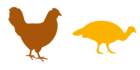 Huhn- und Puten-Silhouette als Icon Geflügel
