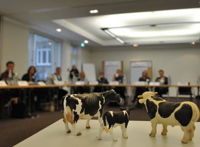 Drei Rinderfiguren auf einem Tisch, im Hintergrund ein Teilnehmende einer Konferenz.