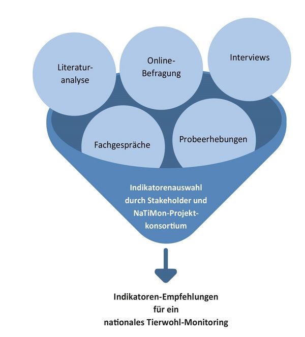 Grafik: Arbeitsschritte für die Indikatorenauswahl in NaTiMon