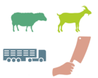Schaf-, Ziegen-, Transporter- und Hand-mit-Beil-Silhouette als Icon für Transport und Schlachtung Schaf und Ziege
