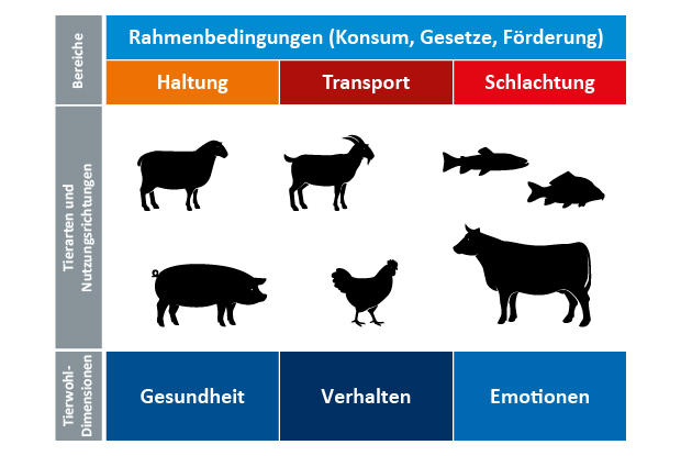 Schaubild zu den Bereichen die abgedeckt werden